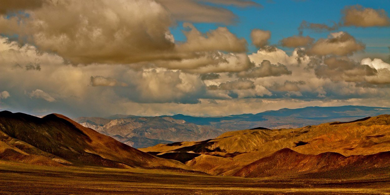James Peacock banner