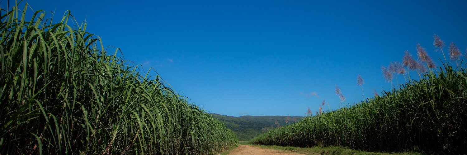 C_LaPastora's profile banner image