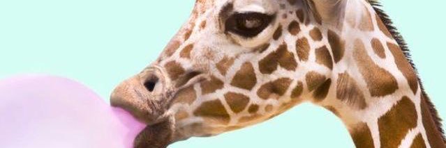 LadyD_29's profile banner image