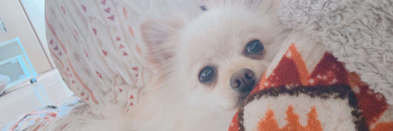 0luuuvD's profile banner image