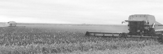 BrianBothell's profile banner image