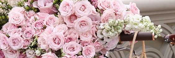 doriane_s's profile banner image