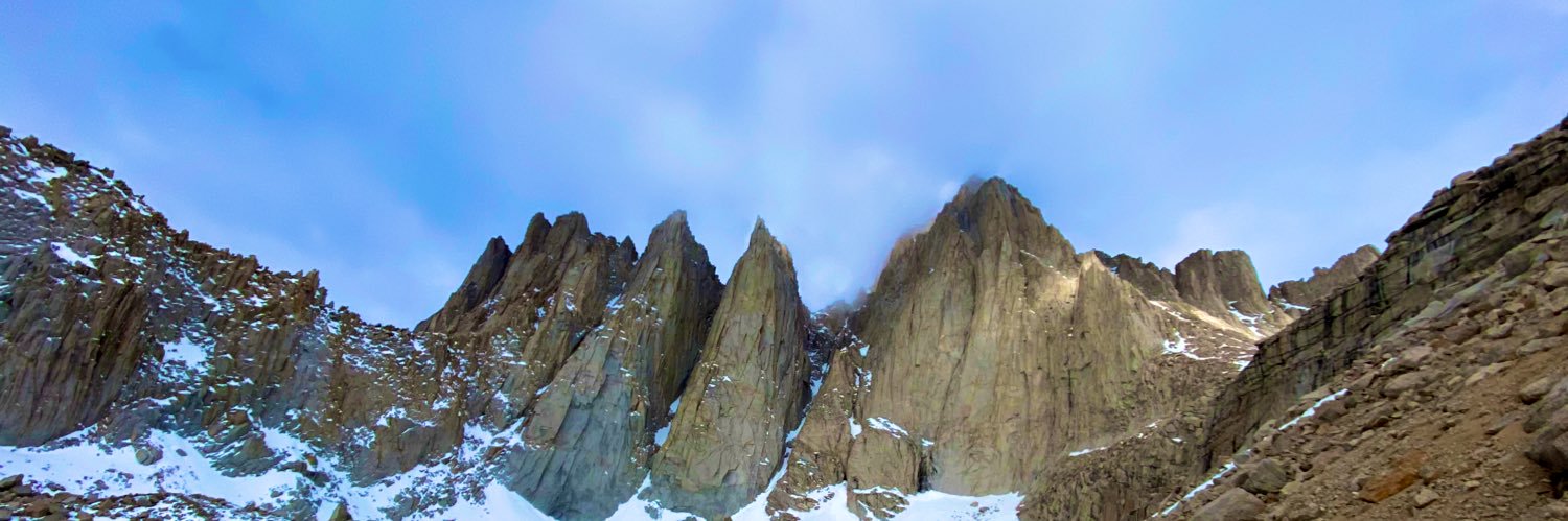 Dani Perry banner