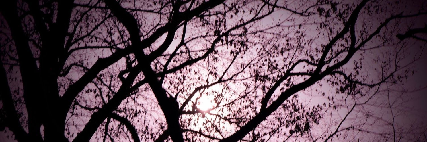 danae2501's profile banner image