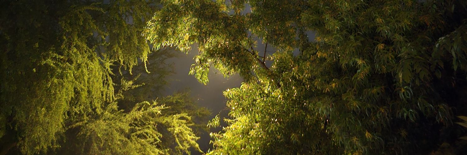 august_nights_'s profile banner image