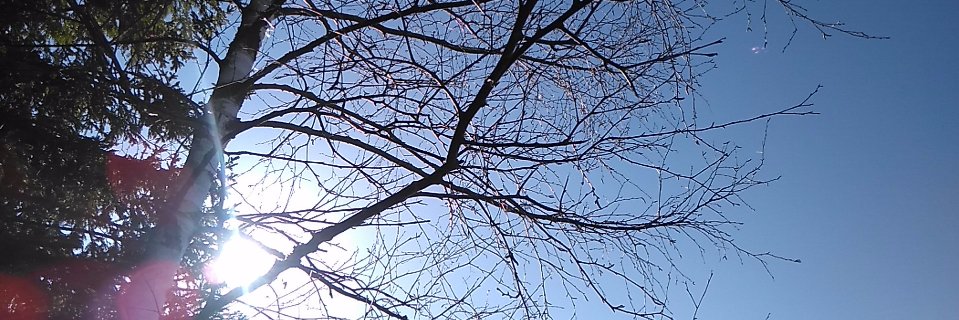 Pasik222's profile banner image
