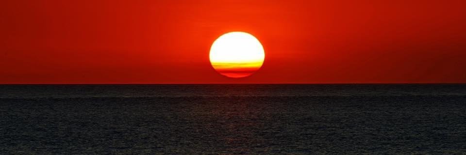 LiveForEevee 🅰️🙏🏼🇺🇦🌻💙💛🇪🇺🇨🇮🇮🇩 banner