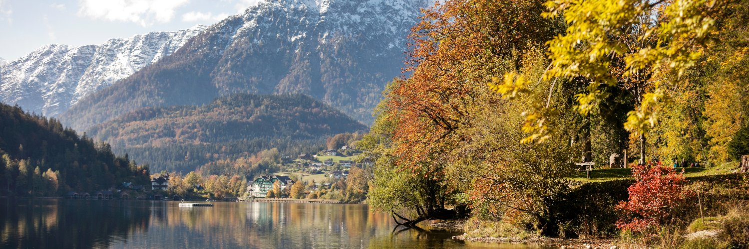 Austrian Embassy London banner