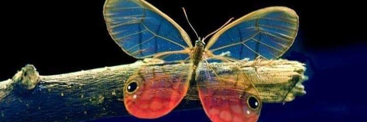 GarePozosR's profile banner image