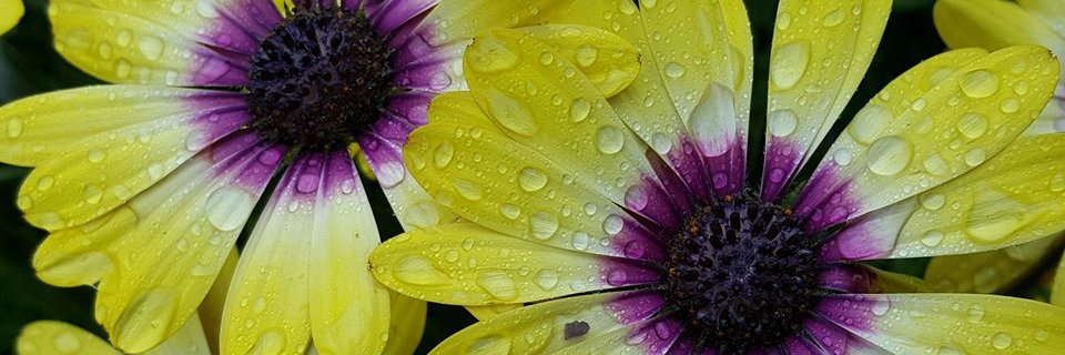 kpania67's profile banner image