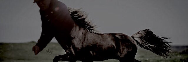 hige_0916's profile banner image