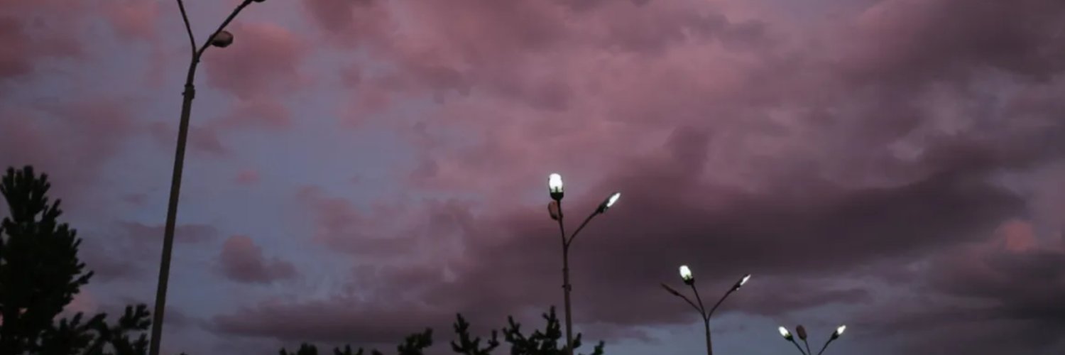 Auge 🐺 banner