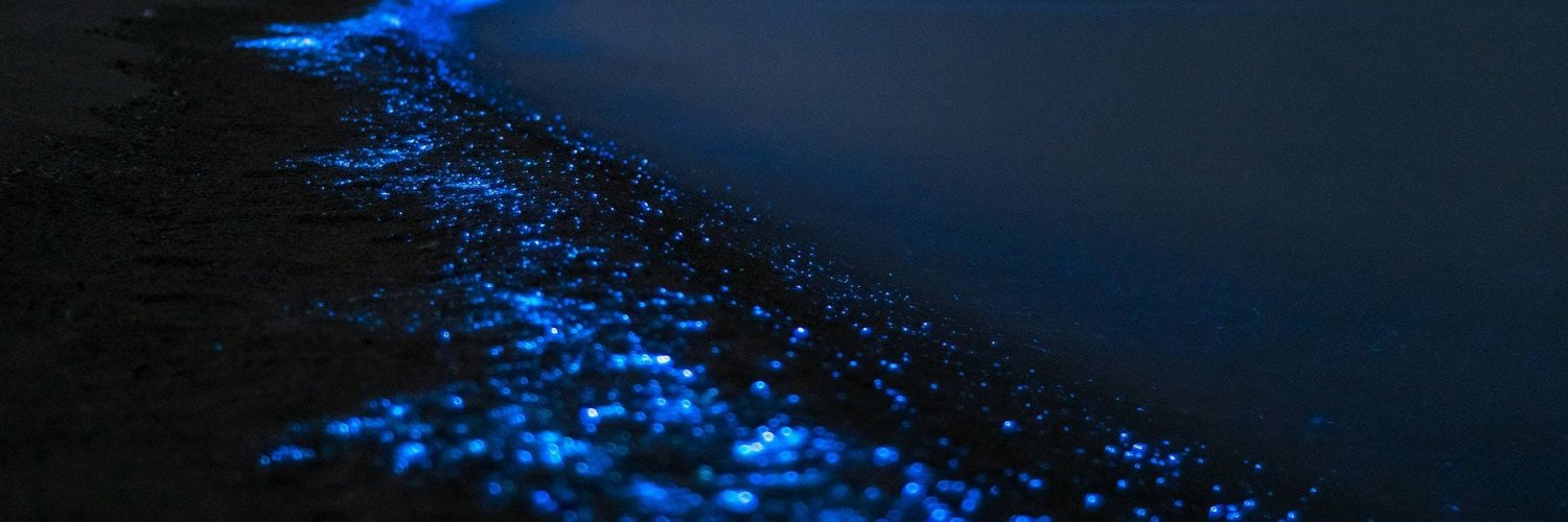RTK_ETH's profile banner image