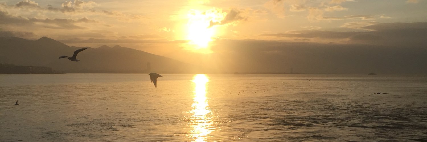 busradogaaan's profile banner image
