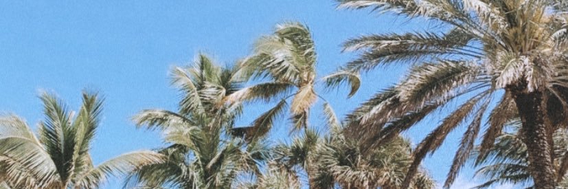lovelychlo's profile banner image