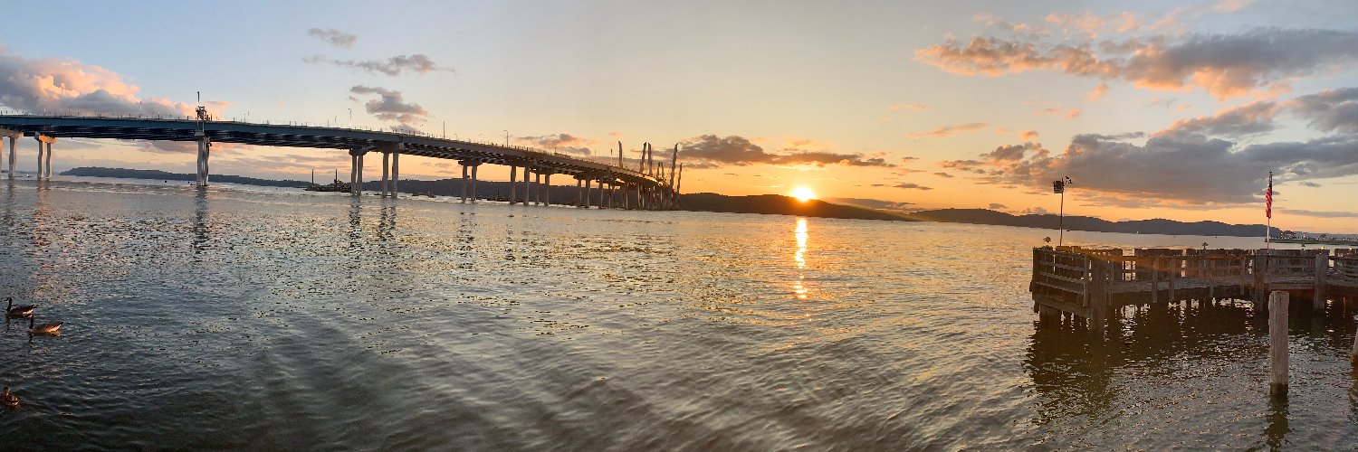 Theresa Dolan banner