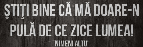 Silvia Maria banner