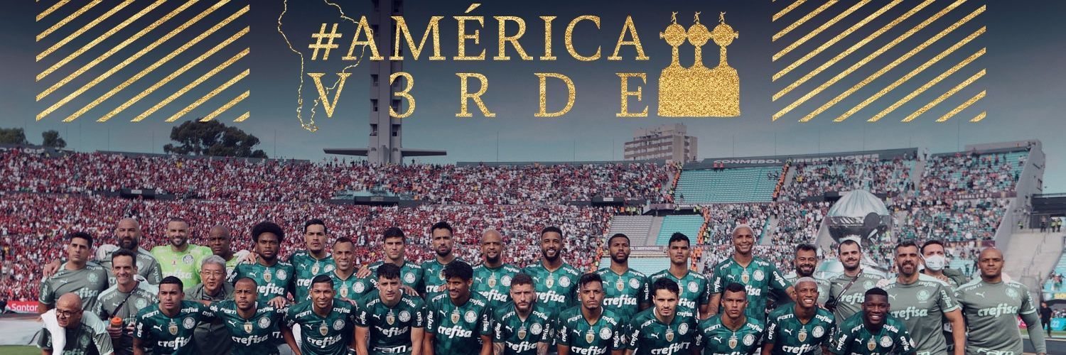 ReiLeãoⓟ banner