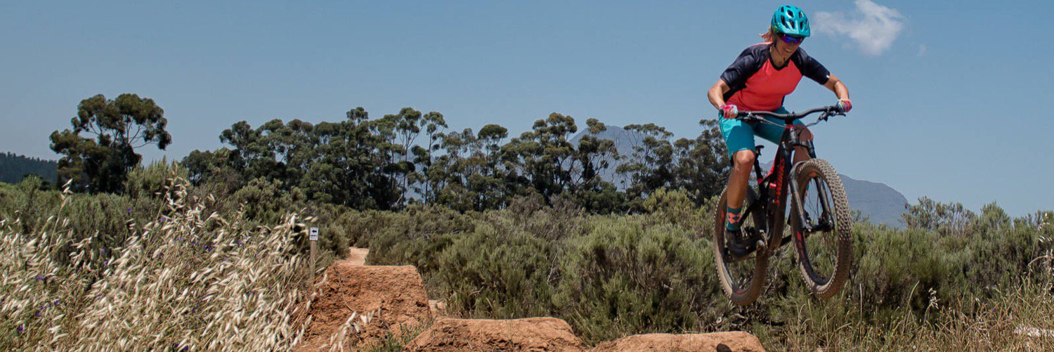 Bikinginthebosch banner