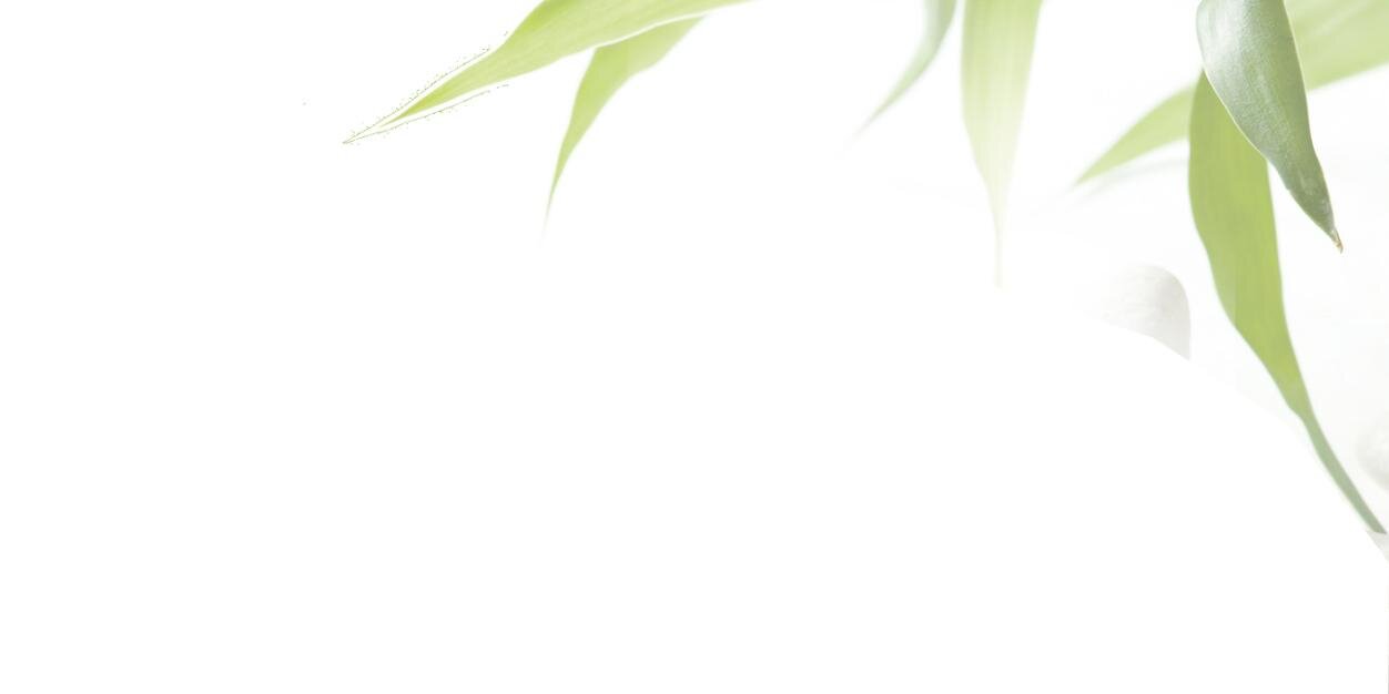 Vitalissim's profile banner image