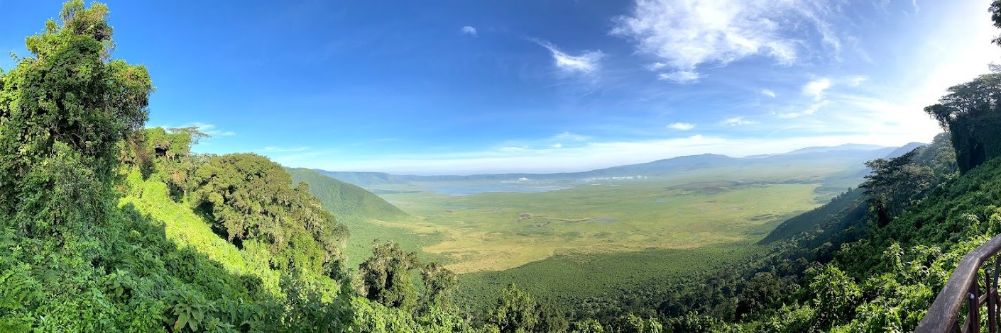 Michael H. Chung banner