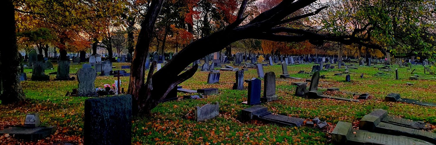 PluvioJim_'s profile banner image