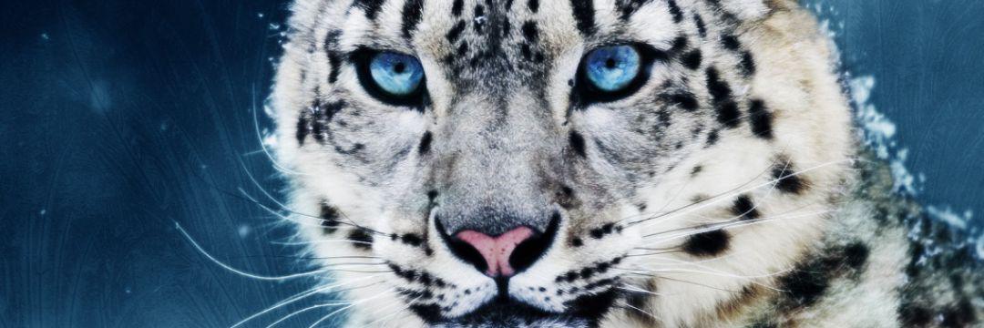 carpin14wh's profile banner image