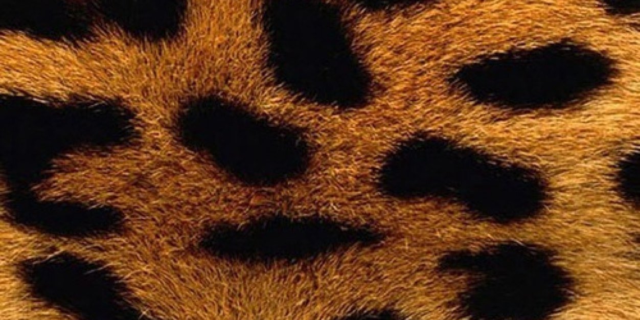 strarbuck_lover's profile banner image