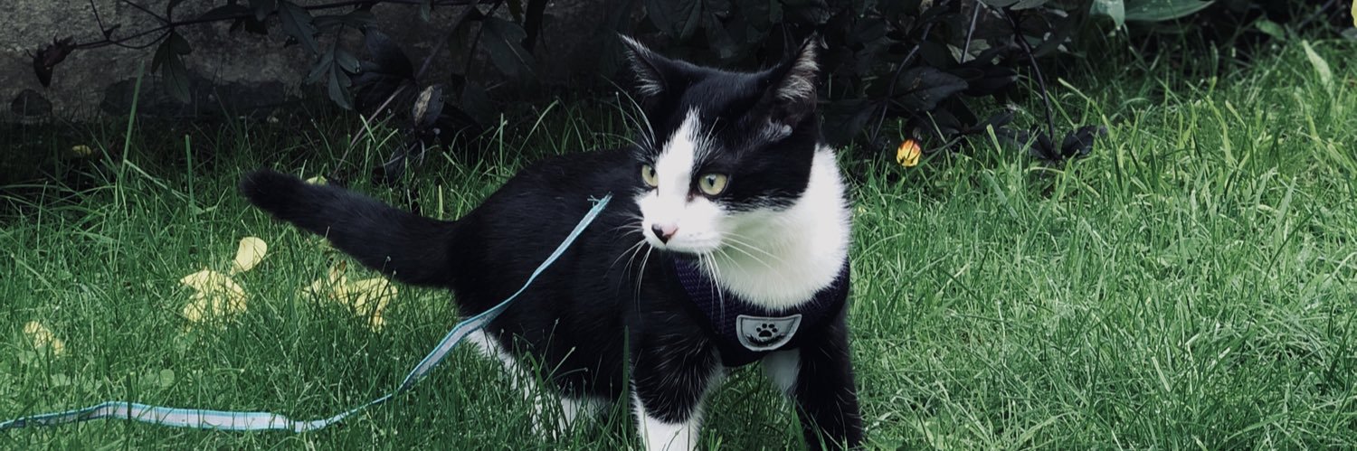 O_lyshitdtz's profile banner image