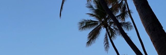 ftdt_'s profile banner image