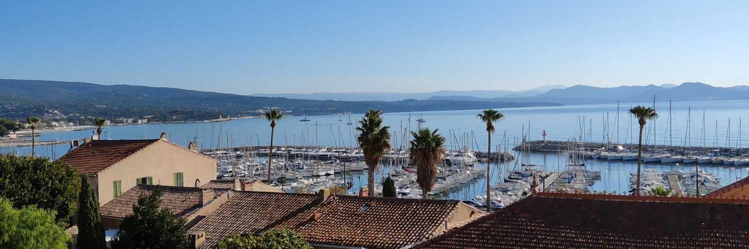 Steph Draperi banner