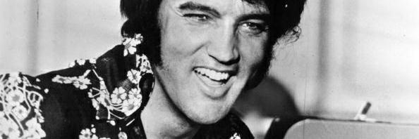 ELVISTHEPELVIS1's profile banner image