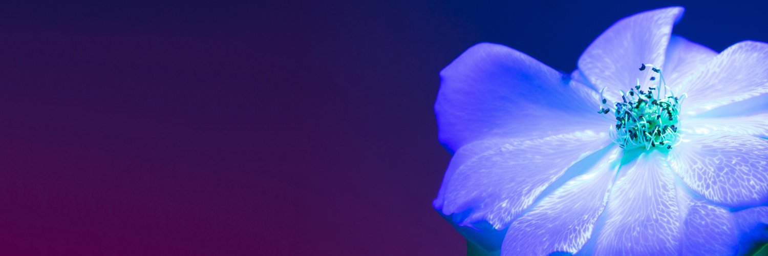 SamMalcolm1414's profile banner image
