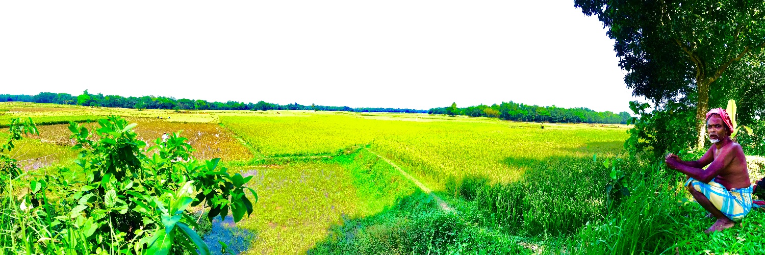 suman_alahi's profile banner image