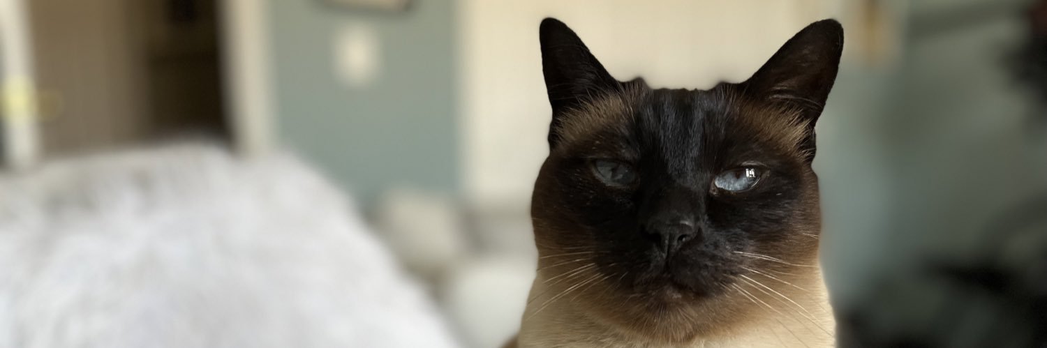 kingblake22's profile banner image