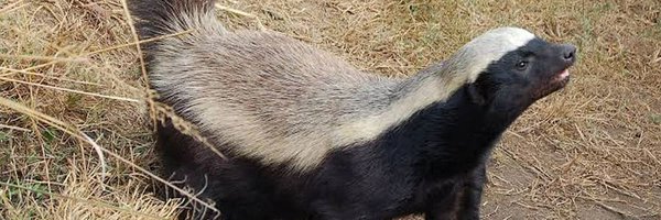 CharlesMpaka Profile Banner