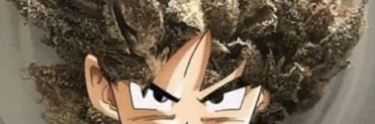 ezeek___'s profile banner image