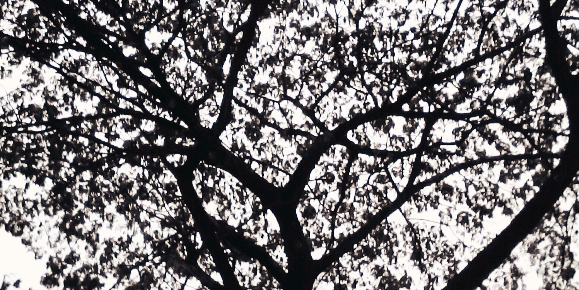 DMahardikaP's profile banner image