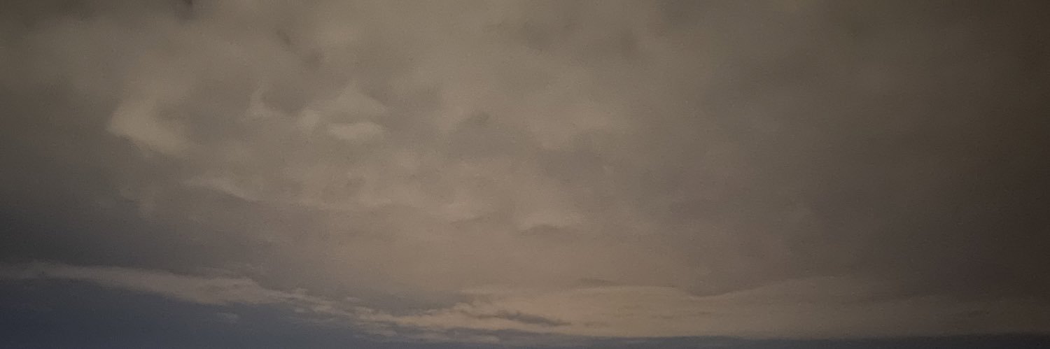 Vika_Schi's profile banner image