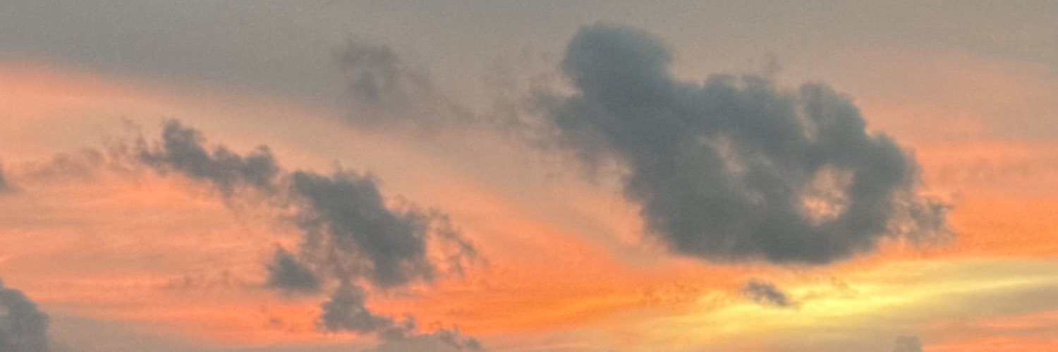 jelaaii's profile banner image