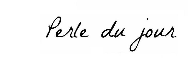 blogperledujour's profile banner image