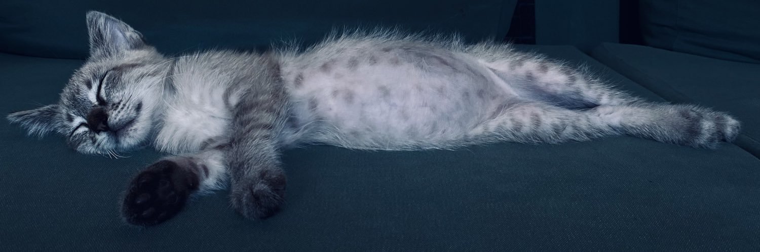 mariadoncel_'s profile banner image