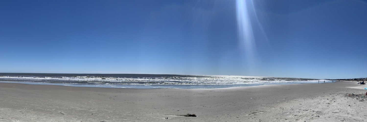 donaeosaurr's profile banner image