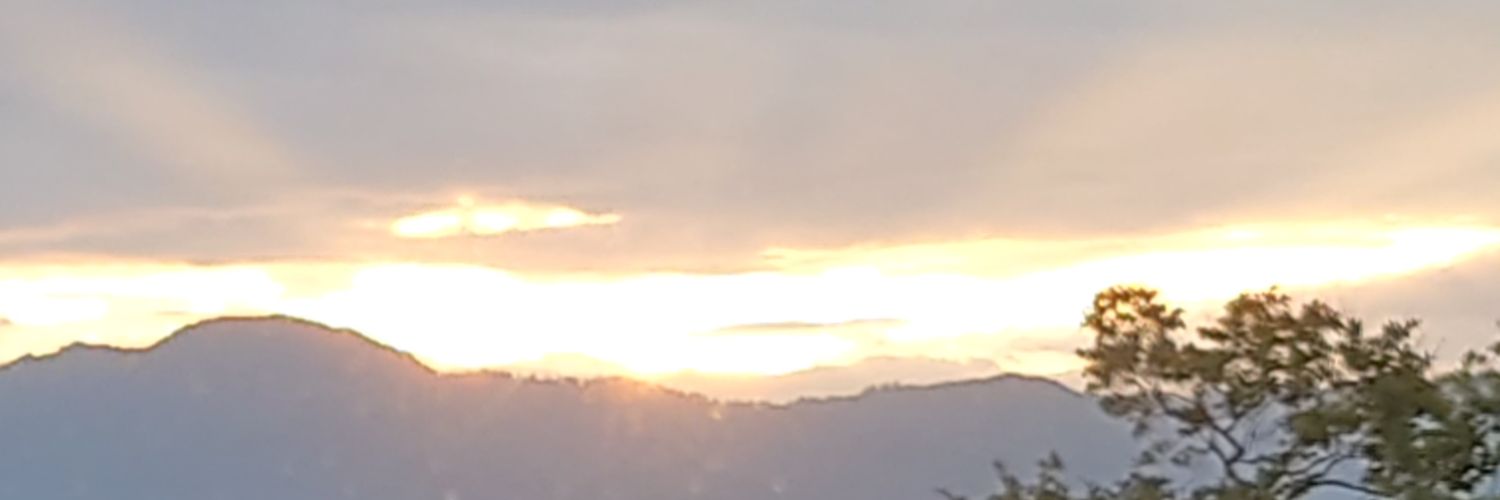mnb_t's profile banner image