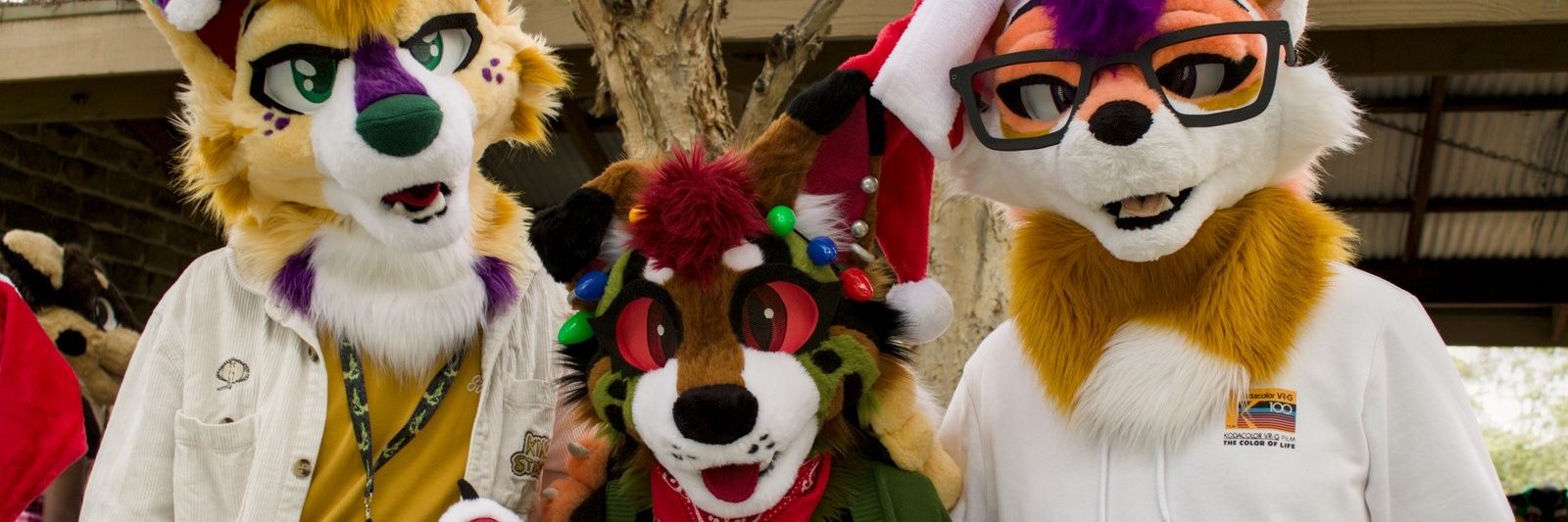 WattleBarks's profile banner image