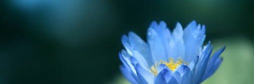ダイヤ banner