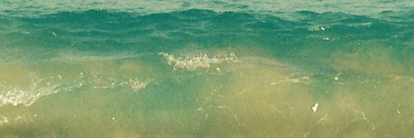 LucilleKyle64 Profile Banner