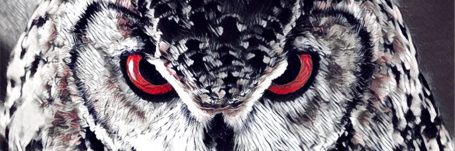 bairinn1's profile banner image