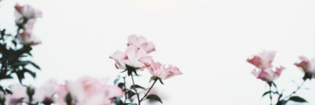 ehsuenghee's profile banner image