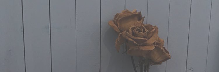 0715_nanami's profile banner image